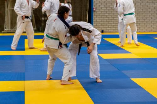 Ameland-1