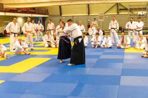 Ameland-102