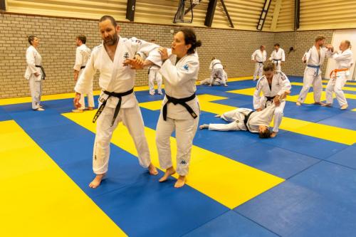 Ameland-105