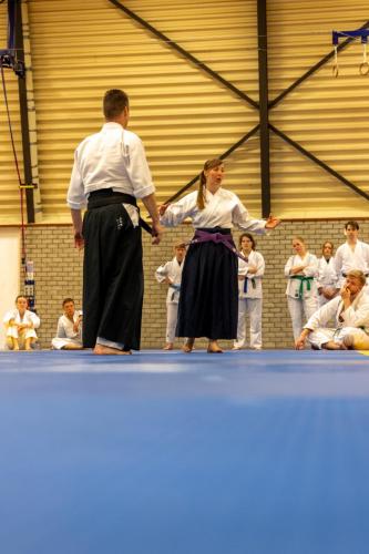 Ameland-106