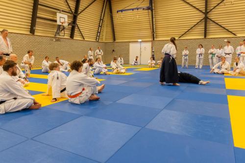 Ameland-107