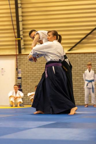 Ameland-109