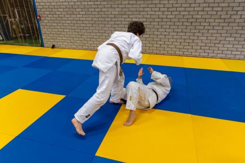 Ameland-11