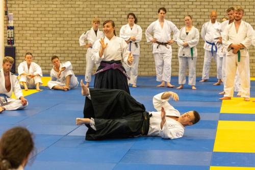 Ameland-112