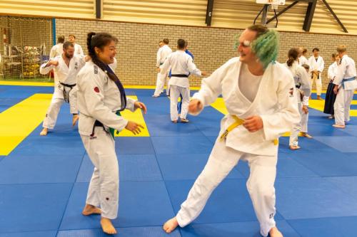 Ameland-117