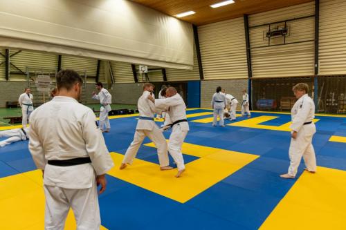 Ameland-133
