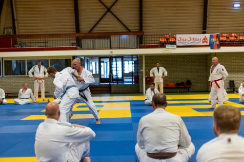 Ameland-145