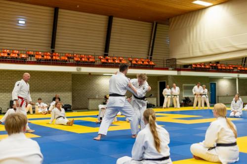 Ameland-152