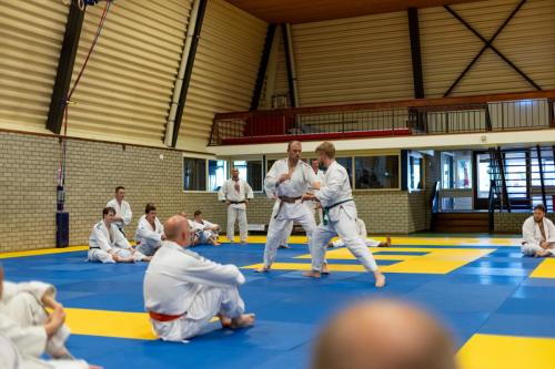 Ameland-155