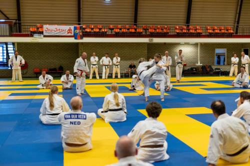 Ameland-156