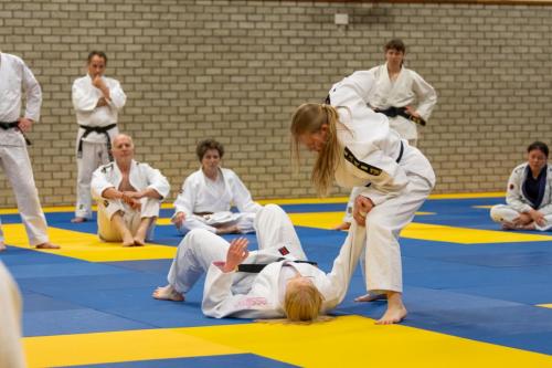 Ameland-167