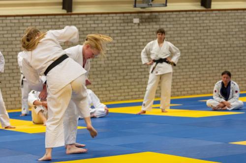 Ameland-168