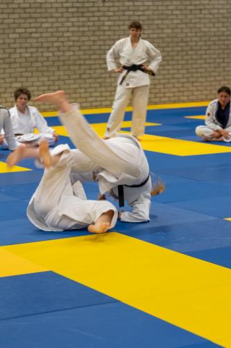 Ameland-169
