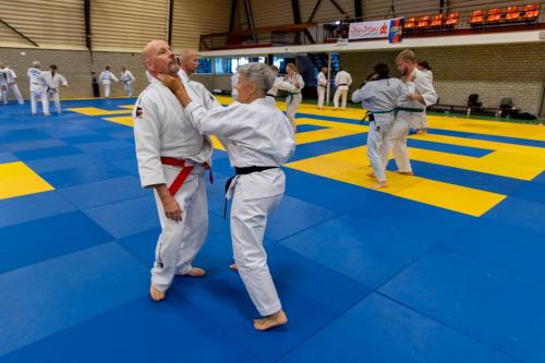 Ameland-17