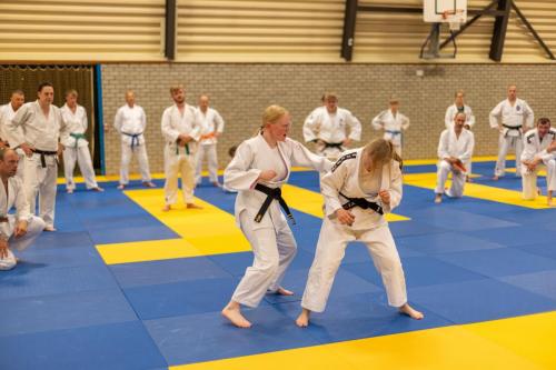 Ameland-187