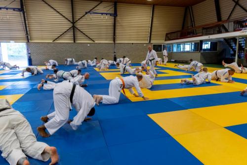 Ameland-37