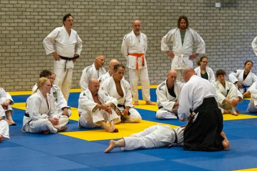 Ameland-53