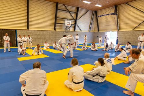 Ameland-69