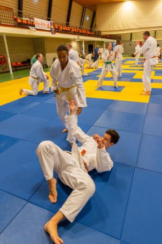 Ameland-78