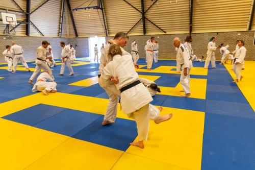 Ameland-81