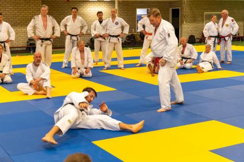 Ameland-83